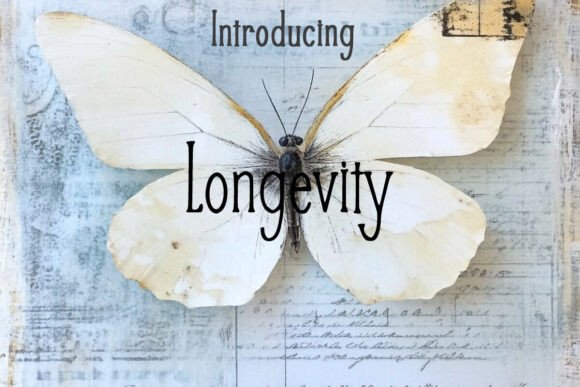Longevity Font for Creative Makers