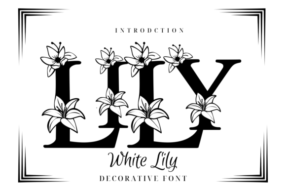 While Lily Font for Editorial Design